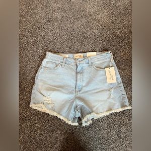 Highest Rise Shortie Shorts